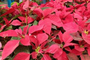 IMG_20220528_162916