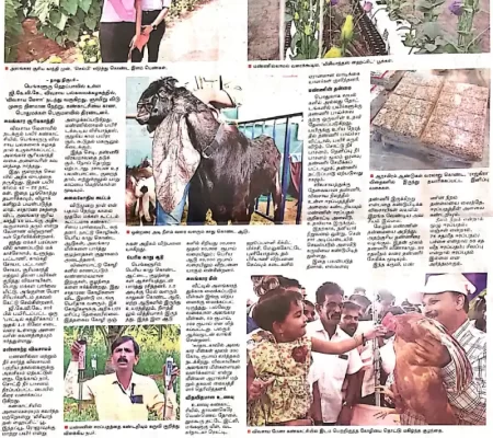 19-11-2023 Dinamalar