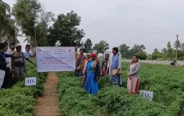 Farmers - Scientist interaction on OFT - chilli- mngt of thrips, KVK-BRD
