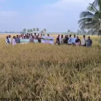 Field day on Mechanical transplanting in paddy