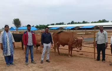 Field visit to GIR cow rearing unit, KVK-BRD