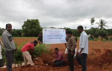 Mahagani planting at bunds at SC SP village, KVK-BRD