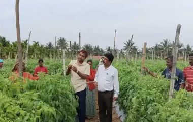OFT Growth enhancer plot visit, KVK,BRD