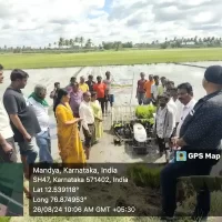 Off campus training on Mechanical transplanting in paddy