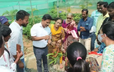 Skill Training on Nursery management, KVK-BRD