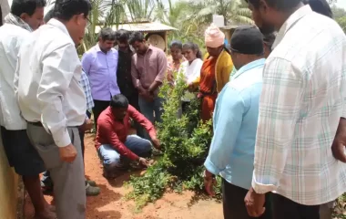 Skill Trg. prog. on canopy management, KVK-BRD
