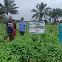 Sr.Scientist and Nodal Officer, ICAR-ATARI visited FLD plot on 12.12.2024