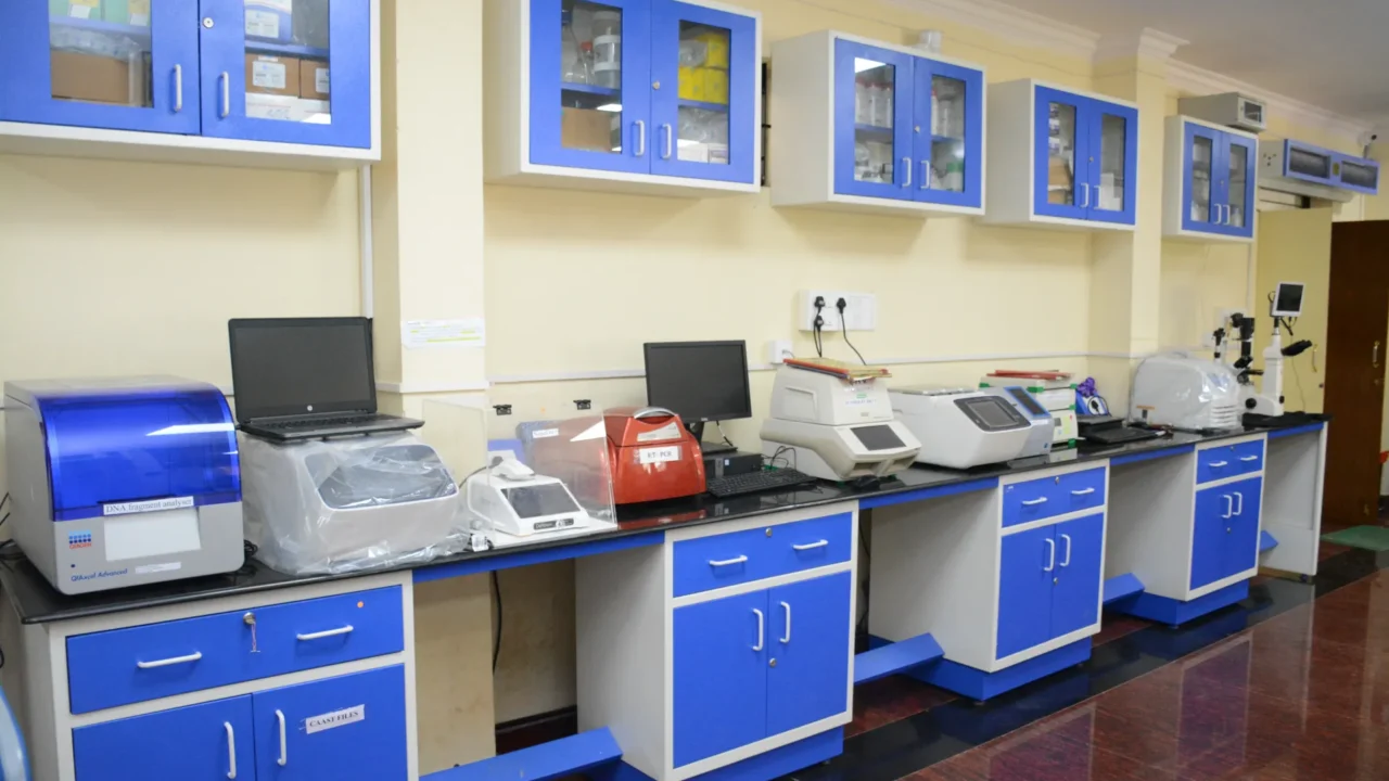 Lab Lab