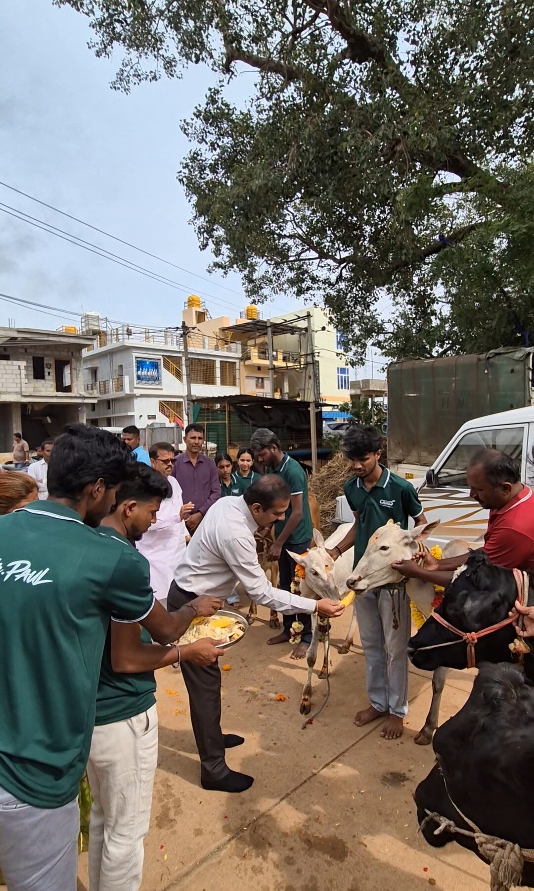 RAWEP Animal Health Camp at Baluvanahalli