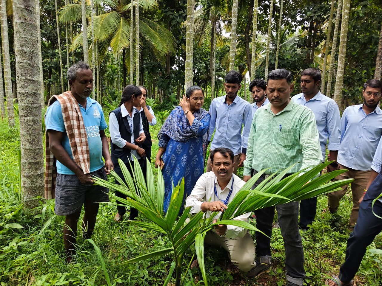 Scientists visit to farmers fiels at Puttaiahana Agrahara, DB Pura under RAWEP suggested Bordeaux mixture for arecanut foot rot