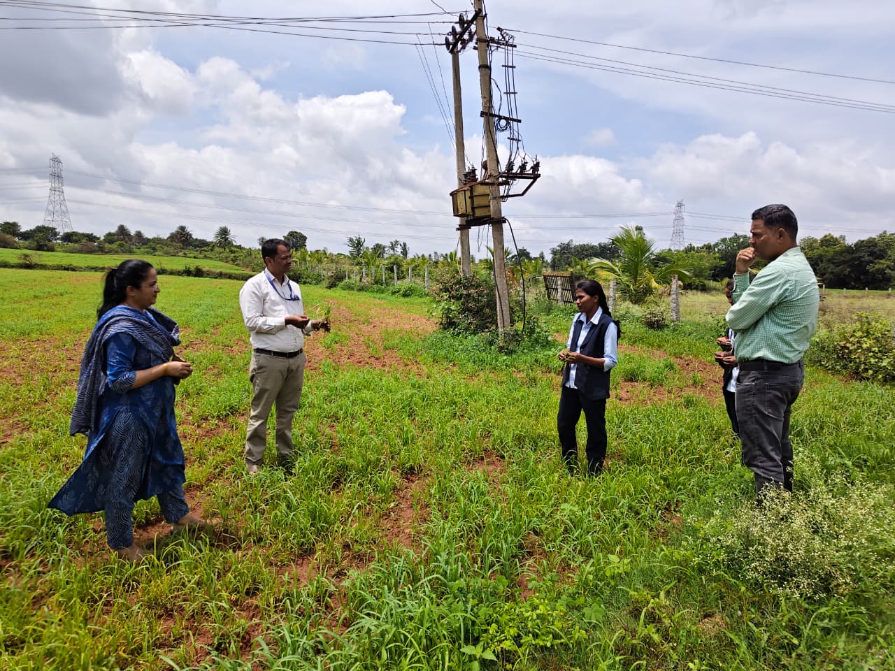 Suggested Tricyclazole (Beam) for Ragi blast at Puttaiahna Agrahara during Scientist visit