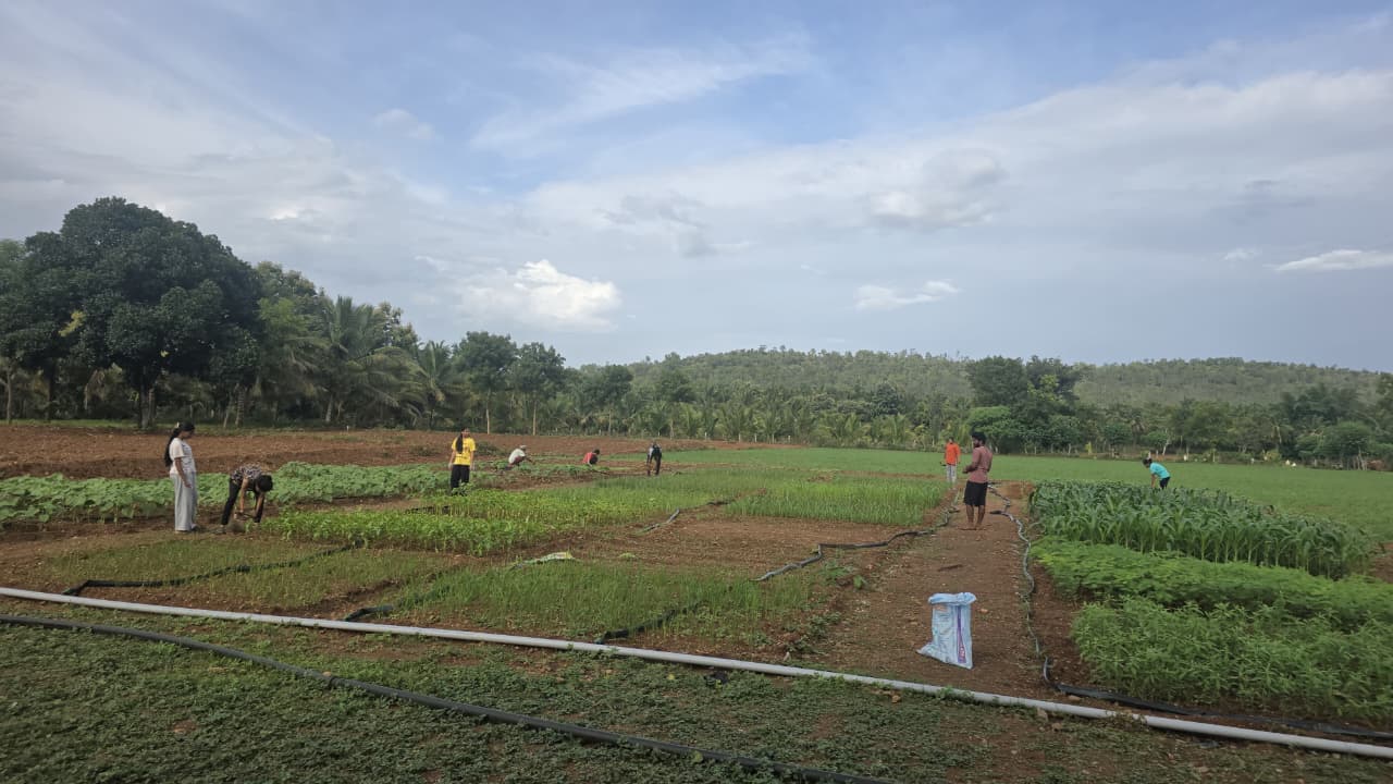 earthing up at FPTDP plot of Korati, Kunigal